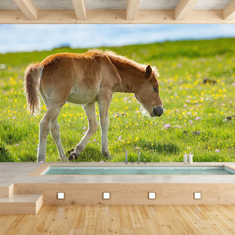 Photography Animal Horse Mural Wallpaper Environment Friendly for Living Room