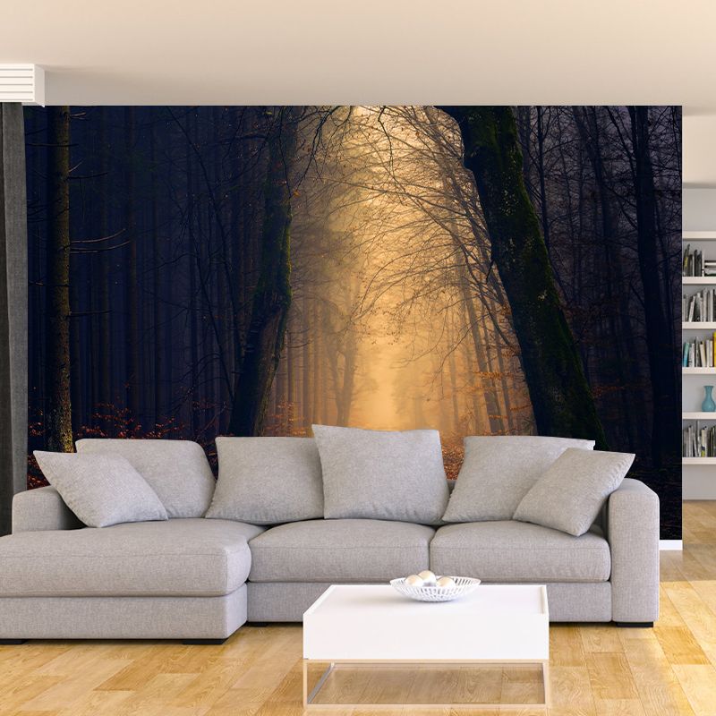 Stain Resistant Photography Forest Pattern Wallpaper Home Decoration Wallpaper