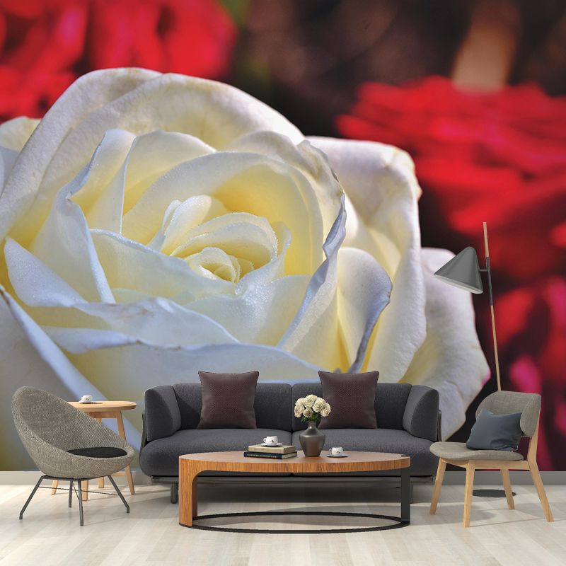Rose Mural Wall Covering Close-Up Photography Decorative Mildew Resistant Wallpaper