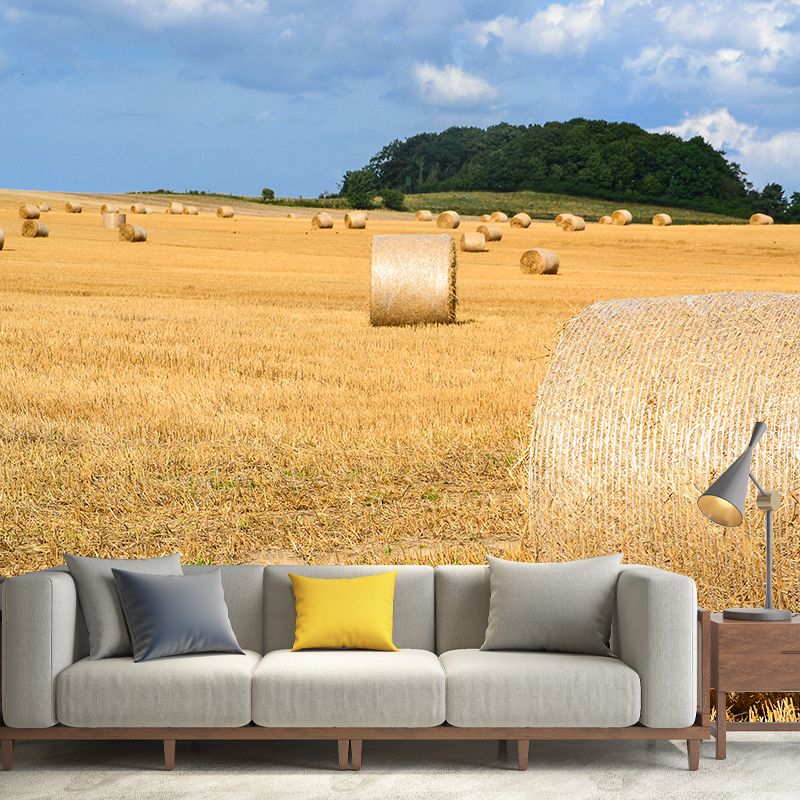 Contemporary Photo Wheat Field Mural Soft Color Stain Resistant Wall Art for Dining Room