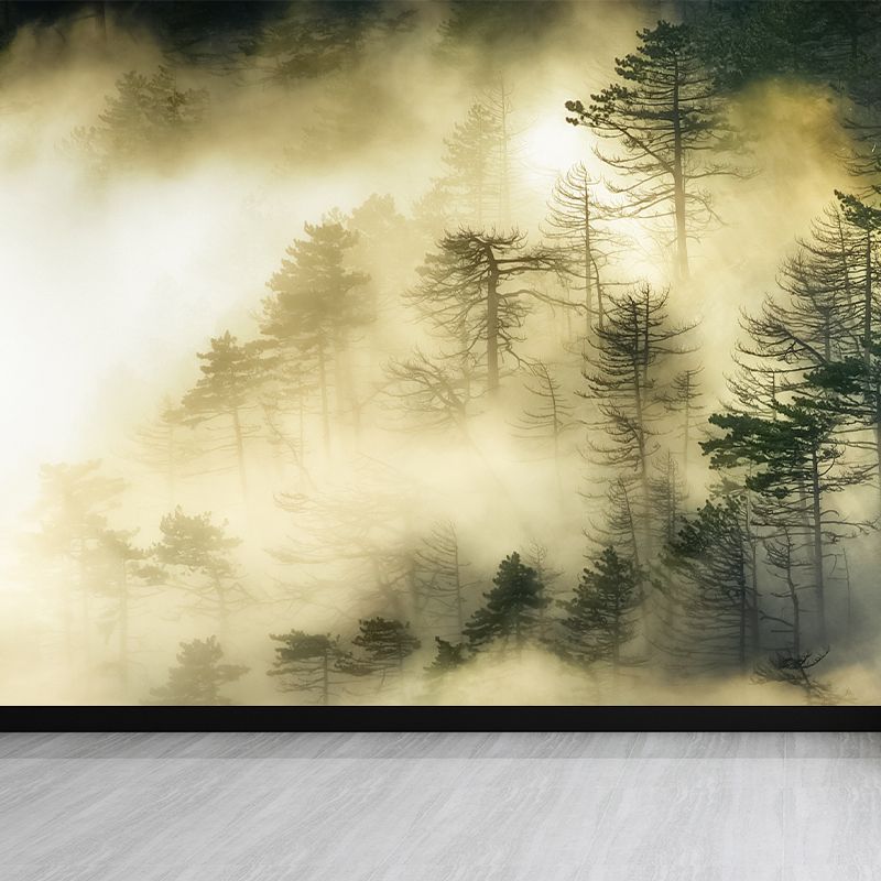 Dark Foggy Forest Mural Wallpaper Scenery Modern Waterproof Wall Art for Bedroom