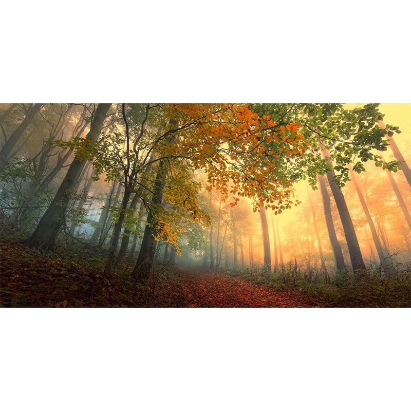Misty Forest Landscape Wallpaper Mural Contemporary Smooth Wall Covering in Dark Color