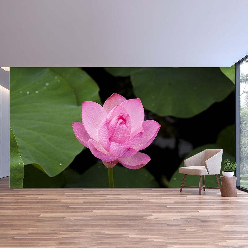 Beautiful Flower Wallpaper Mural Red and Pink Wall Decor for Bedroom, Waterproofing