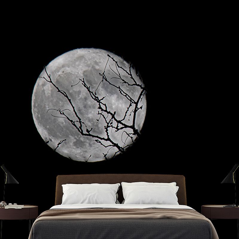 Cosmos Stain Resistant Wall Mural Washable Wallpaper Sitting Room Wall Mural