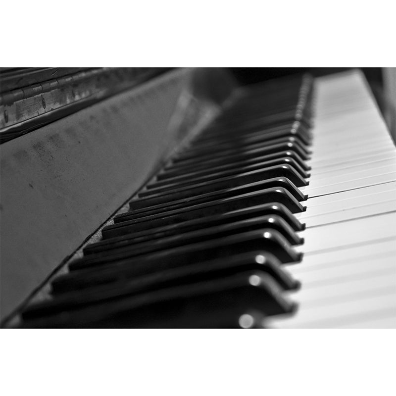 Piano Hobby Wall Covering for Sitting Room Bedroom Decor, Made to Measure