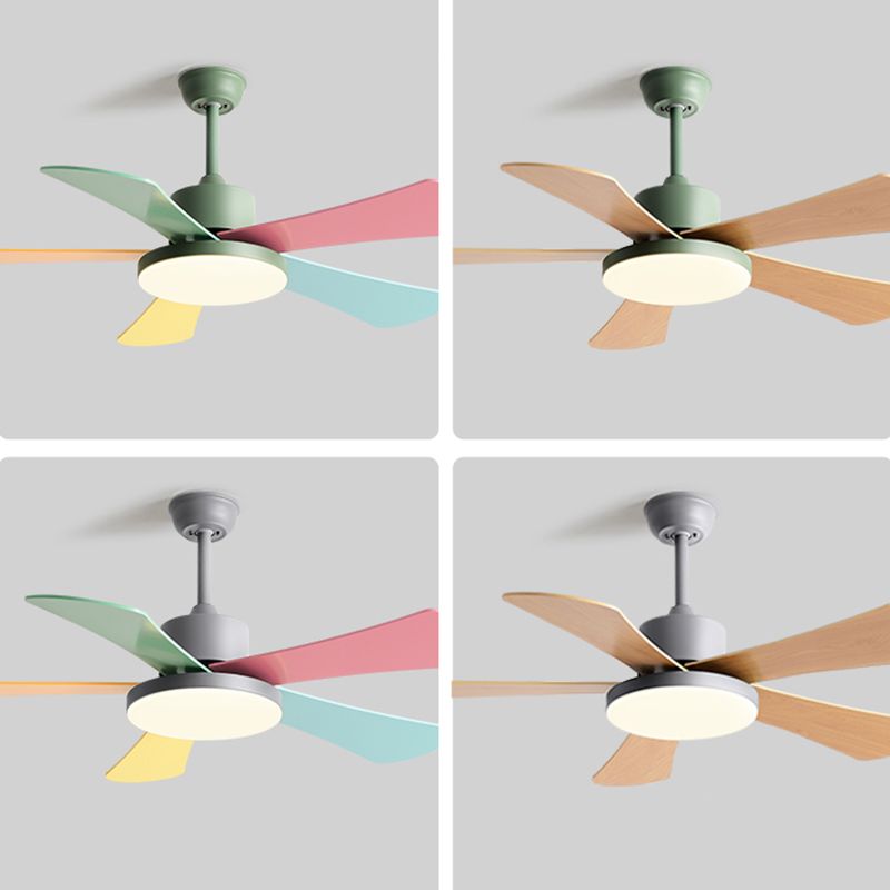 Metal Ceiling Fan Light Modern Style 1 Light Ceiling Fan Lamp for Bedroom