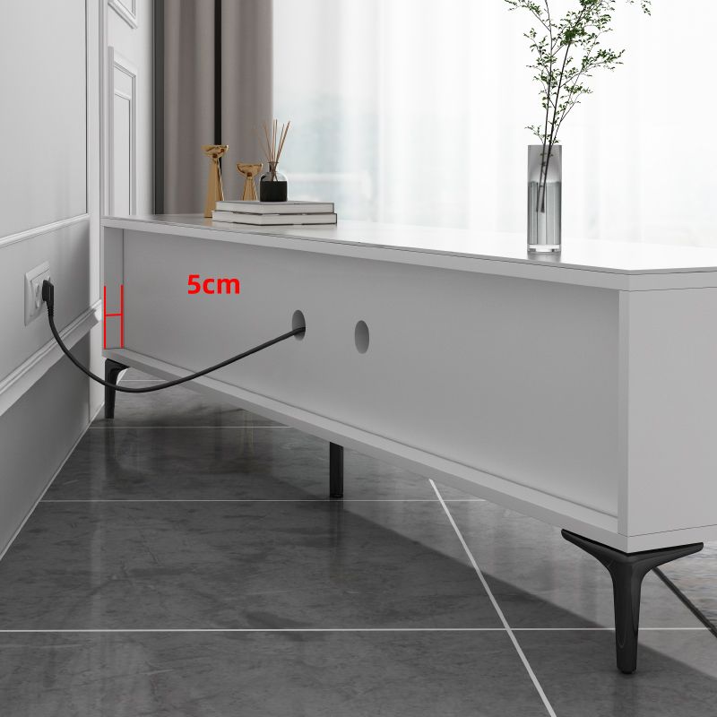 Modern Enclosed TV Storage Home Rectangle TV Cabinet with Splayed Legs