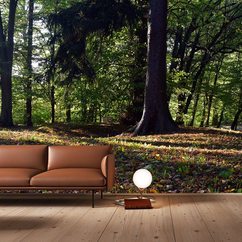 Forest Landscape Wall Murals Moisture Resistant Wall Covering for Gust Room
