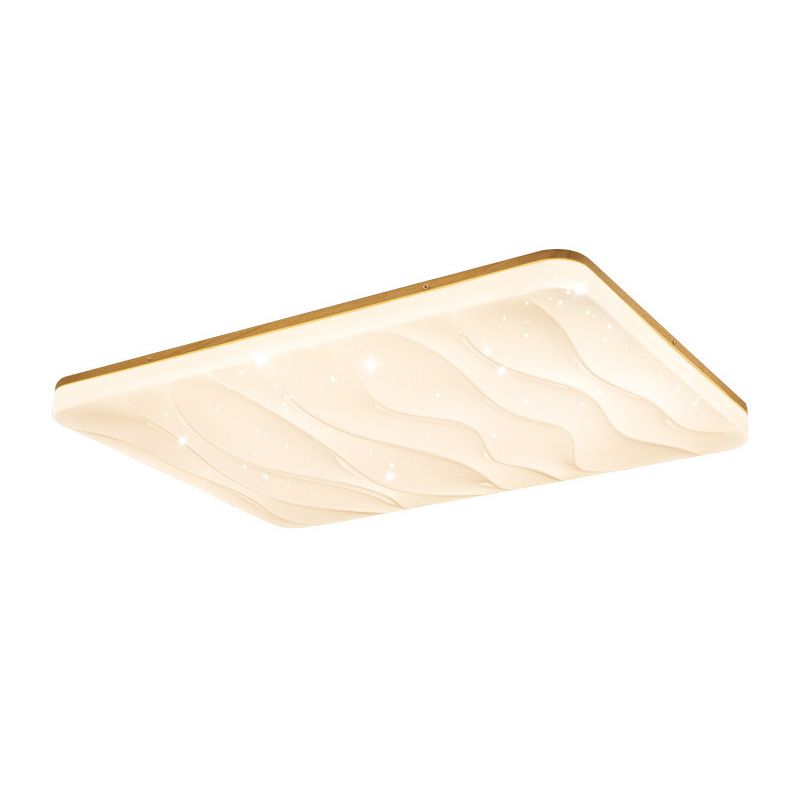 Unique Shape Flush Ceiling Lights Modern Acrylic Flush Mount Lighting