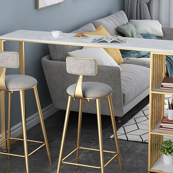Contemporary Cushion Bar Stool Backrest Barstool with Gold Metal Legs