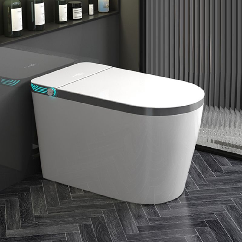 Contemporary Ceramic Flush Toilet Floor Mount Toilet with Seat for Washroom