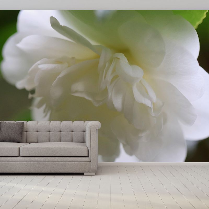 Customized Blooming Camellia Mural Wallpaper Contemporary for Guest Room