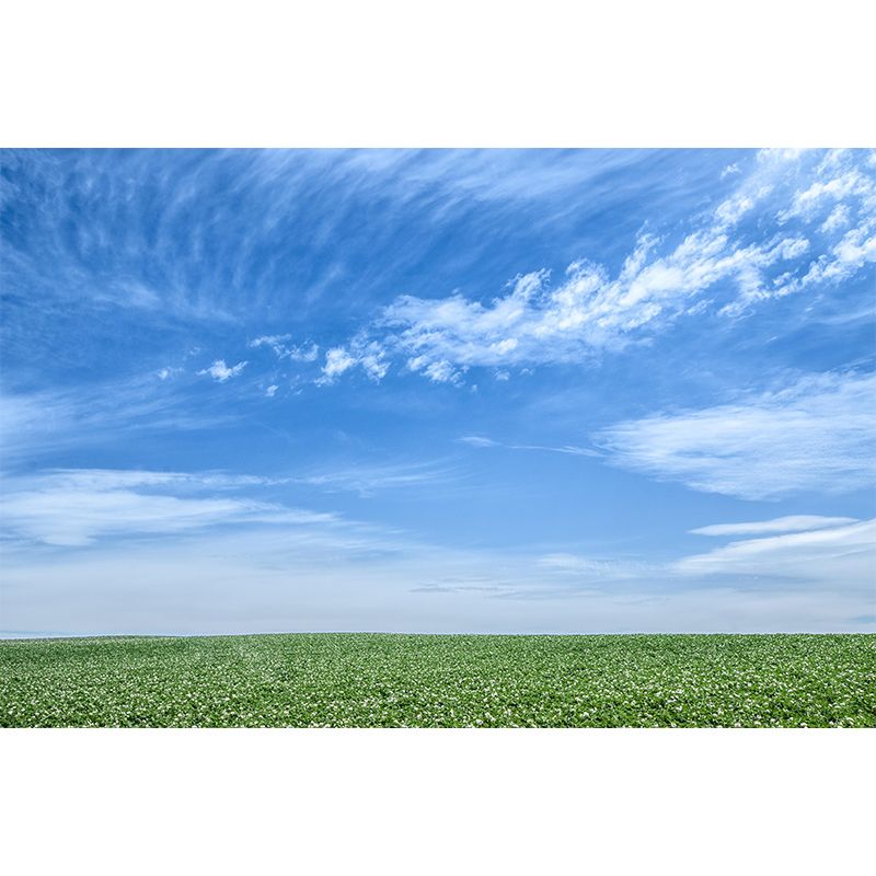 Customized Beautiful Sky Mural Mildew Resistant for Sleeping Room Decoration