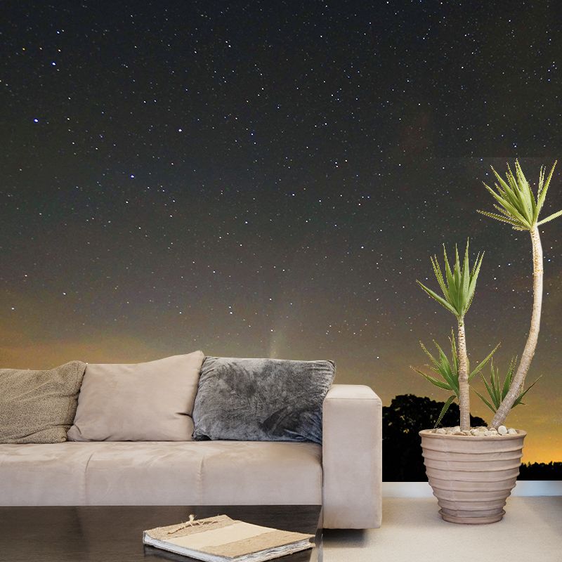 Space Night Sky Stain Resistant Wall Decor for Living Room Bedroom, Made to Measure