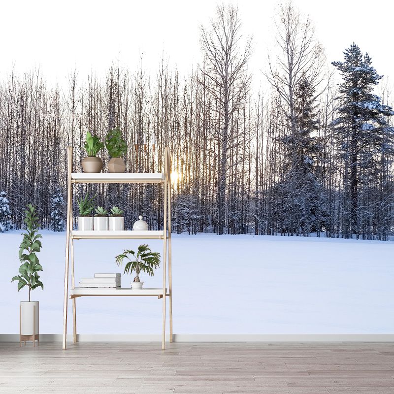 Contemporary Forest Wall Mural Wallpaper Eco-friendly Wall Mural in Bright Color