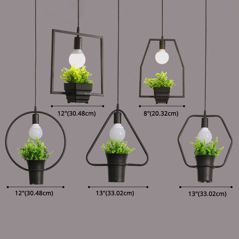 Metal Geometric Line Simplicity Plant Hanging Lamp Single Bulb Clothing Shop Decorative Lighting Fixture