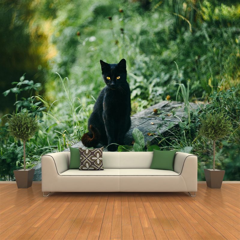 Photography Animal Cat Mural Wallpaper Environment Friendly for Living Room