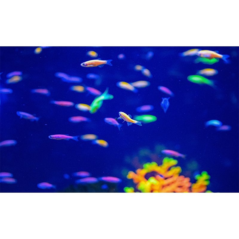 Creatures Mural Wallpaper Modern Bedroom Decoration, Custom Size Available