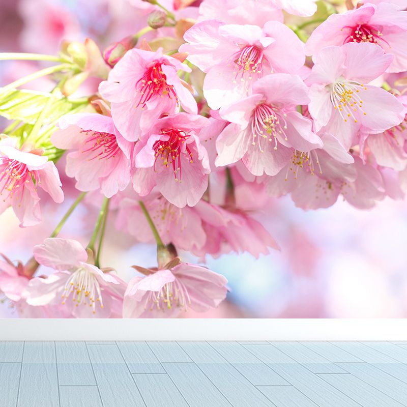 Modern Cherry Blossom Mural Decal Pink Living Room Wall Covering, Custom Size Available