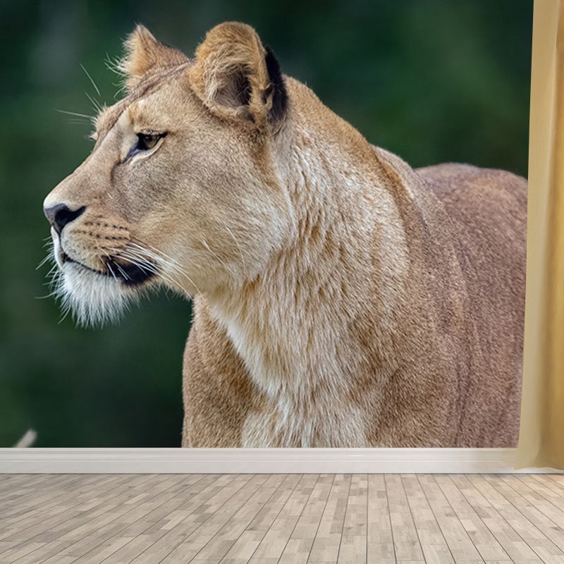 Lion Jungle Animal Mural Decal Contemporary Wall Decor for Bedroom,  Stain-Resistant