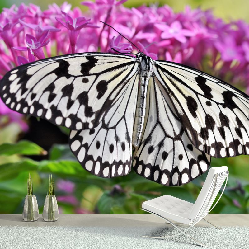 Butterfly Animal Wallpaper Mural Contemporary Style Wall Art for Living Room