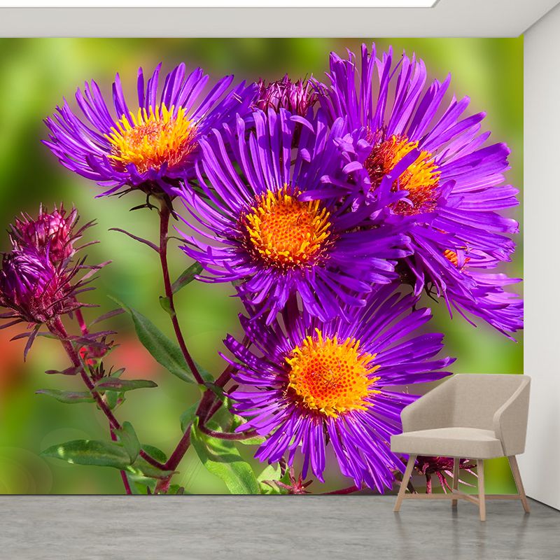 Bright Flowers Mural Decal Modern Wall Covering for Sitting Room, Waterproofing