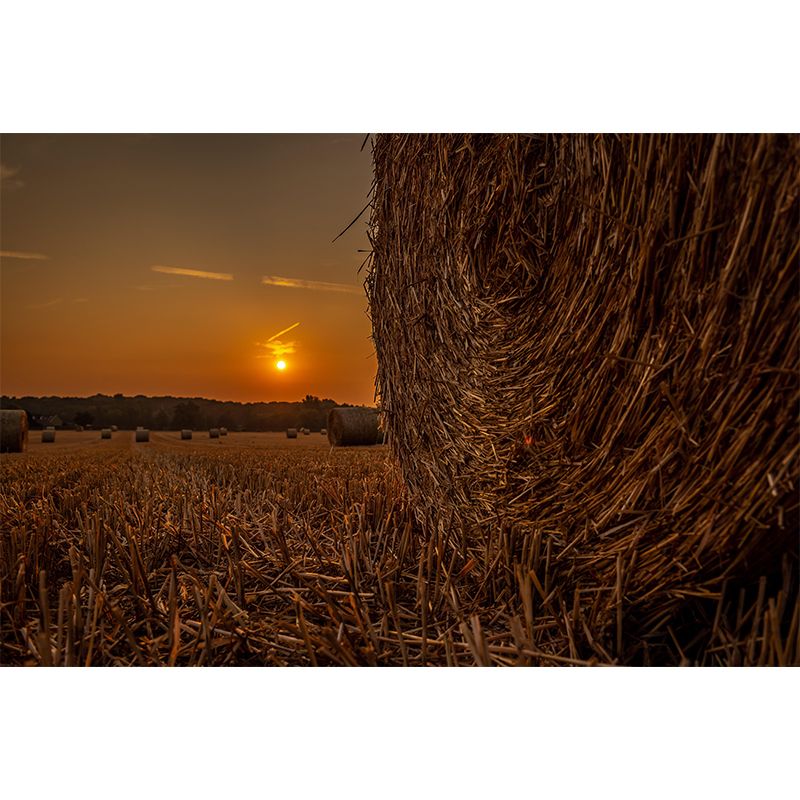 Straw Bale Mural Decal Wall Decor Mildew Resistant for Living Room