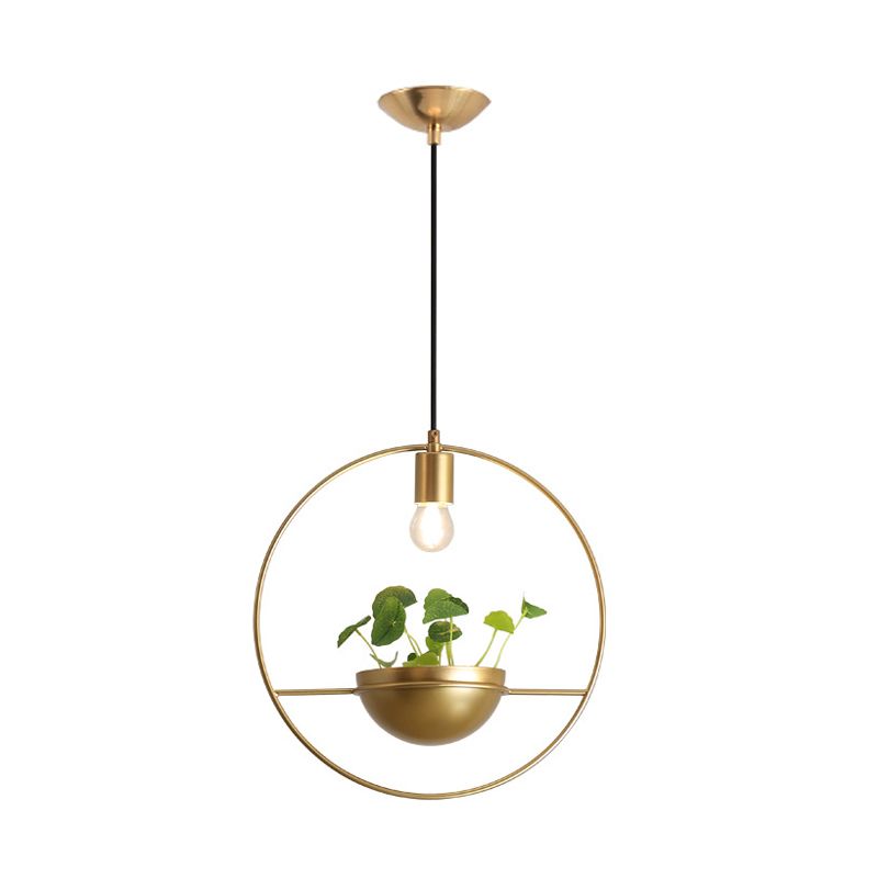 Gold Circular Hanging Lighture Factor Factory Iron 1 Head Comedor de comedor Iluminación colgante de planta