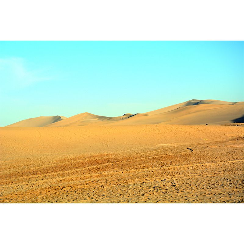 Customized Contemporary Style Desert Mural Environment Friendly for Living Room