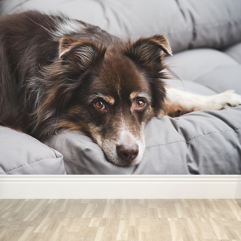 Custom Photo Print Modern Murals Horizontal Wallpaper with Animal Pattern for Home Decor