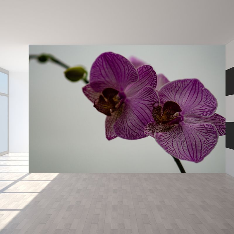 Modern Girl Room Decoration Orchid Mural Wallpaper, Custom Size Available