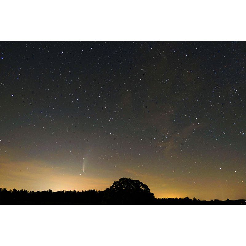 Space Night Sky Stain Resistant Wall Decor for Living Room Bedroom, Made to Measure