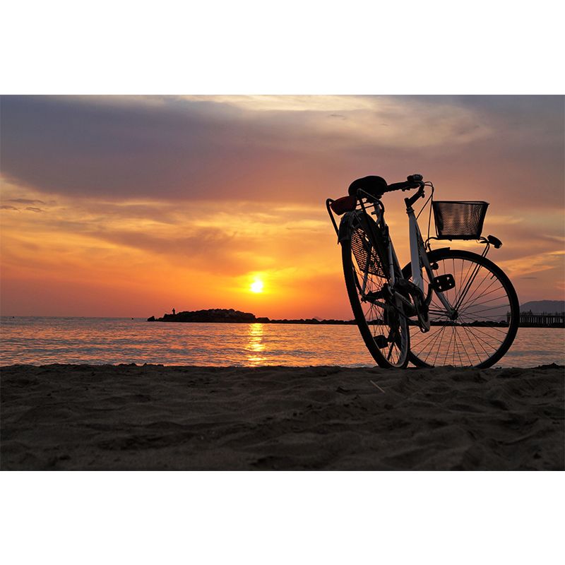 Customized Bike Mural Home Decor Environment Friendly Wallpaper  for Home Decor