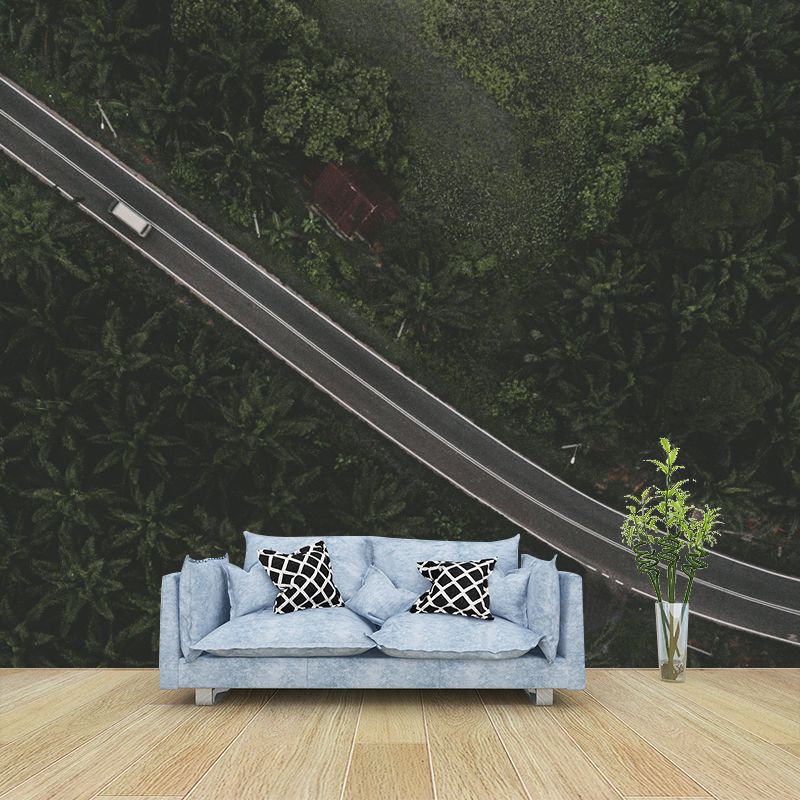 Horizontal Photography Curvy Road Mural Decorative Mildew Resistant for Living Room