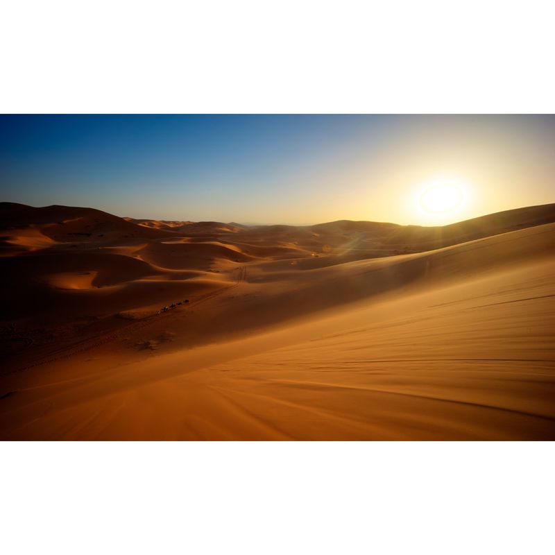 Modern Nightfall Desert View Mural Yellow Moisture Resistant Wall Art for Living Room