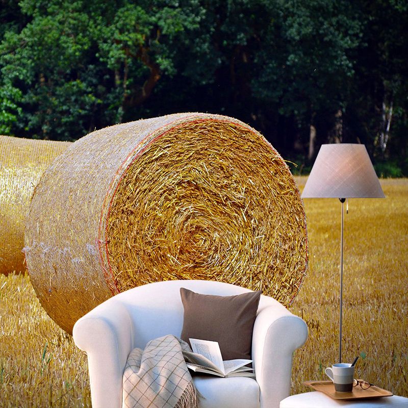 Contemporary Moisture Resistant Straw Bales Mural Wall Covering for Dining Room