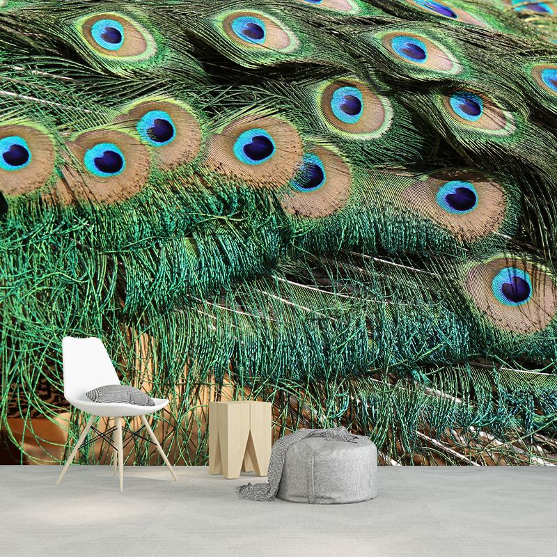 Vivid Feathers Wall Paper Murals Mildew Resistant Living Room Wall Decor
