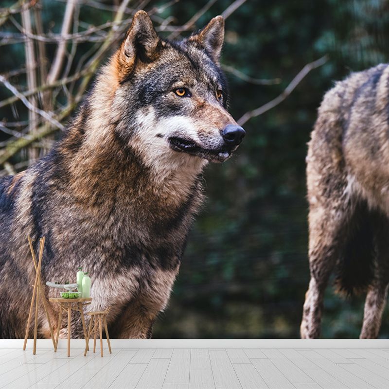 Wild Animal Contemporary Mural Horizontal Photography Bedroom Wall Mural