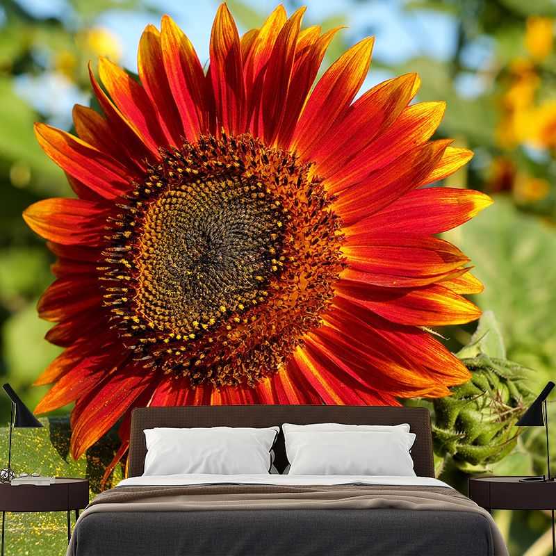 Blooming Sunflower Mural Wallpaper Environmental Contemporary for Bedroom
