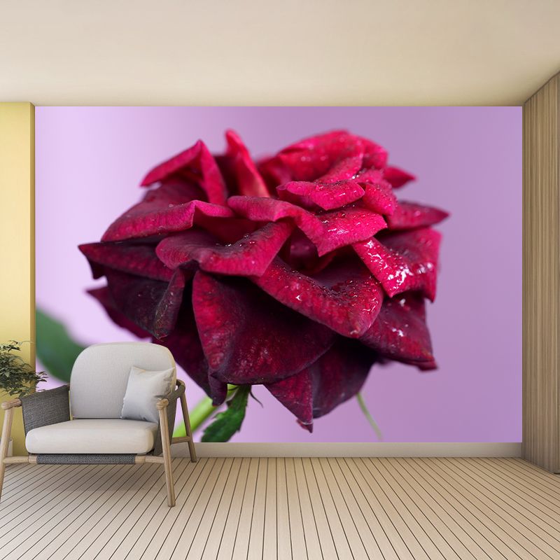 Blossoming Rose Mural Wallpaper Flower Wall Decor for Bedroom Living Room