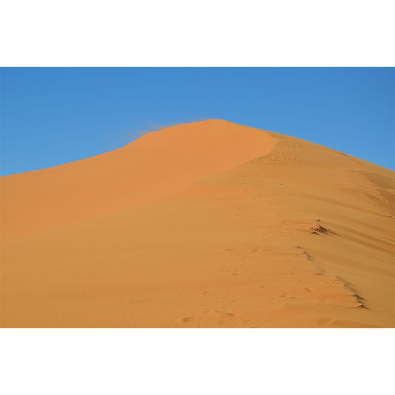 Horizontal Photography Desert Mural Environment Friendly Wallpaper for Decoration