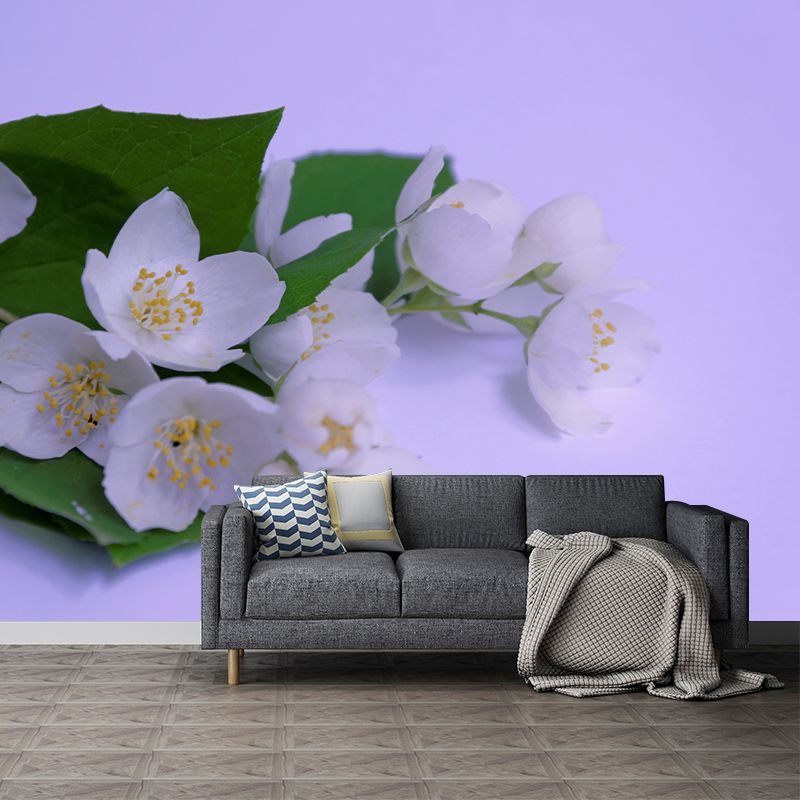 Jasmin Contemporary Style Mural Wallpaper Wall Covering for Living Room Decoration