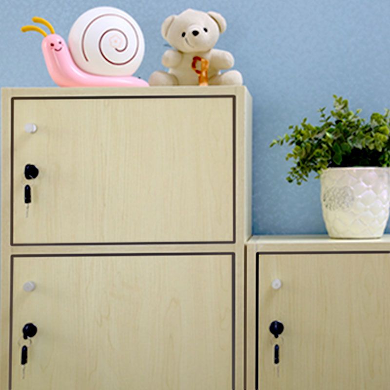 Matte Finish Non-Hanging Cabinet Modern Wood Storage Cabinet with Hinged Doors