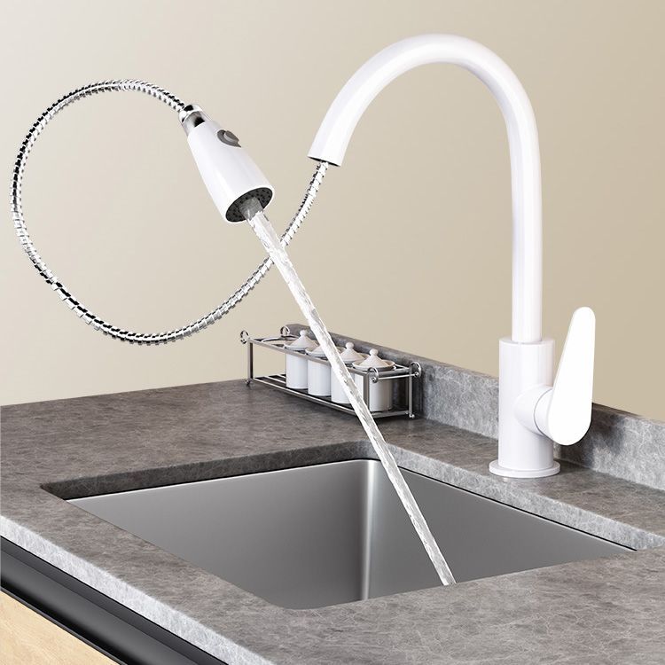 Contemporary Swivel Spout Standard Kitchen Faucet with Pull Down Sprayer