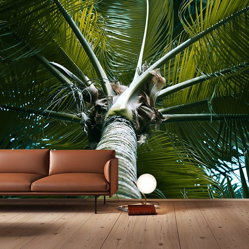 Tropical Palm Tree Wall Paper Murals Decoration for Gust Room, Made to Measure