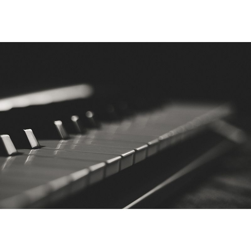 Photography Stain Resistant Mural Wallpaper Musical Instruments Living Room Wall Mural