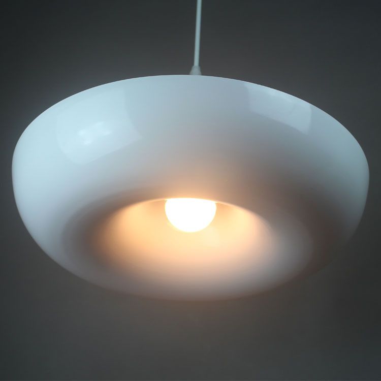 Single-Light Metal Frame Plant Pendant Light for Dinning Room Bedroom Hanging Lamp (Without Plants)