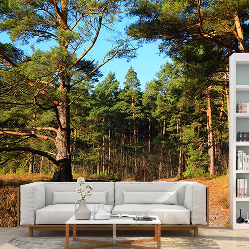 Forest Trees View Mural Moisture Resistant Contemporary Bedroom Wall Covering