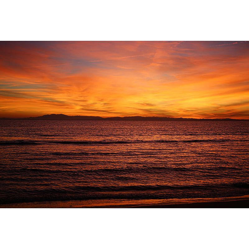 Beautiful Cloudscape Wall Murals Personalised Size Modern Wall Covering for Bedroom