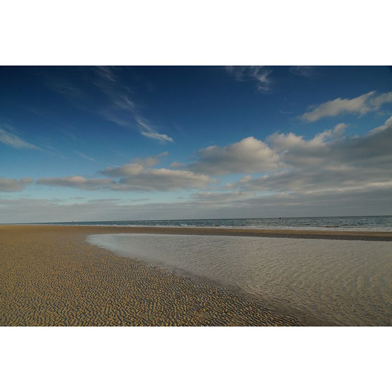 Blue Beach View Wall Covering for Home Decor Living Room, Personalized Size Available